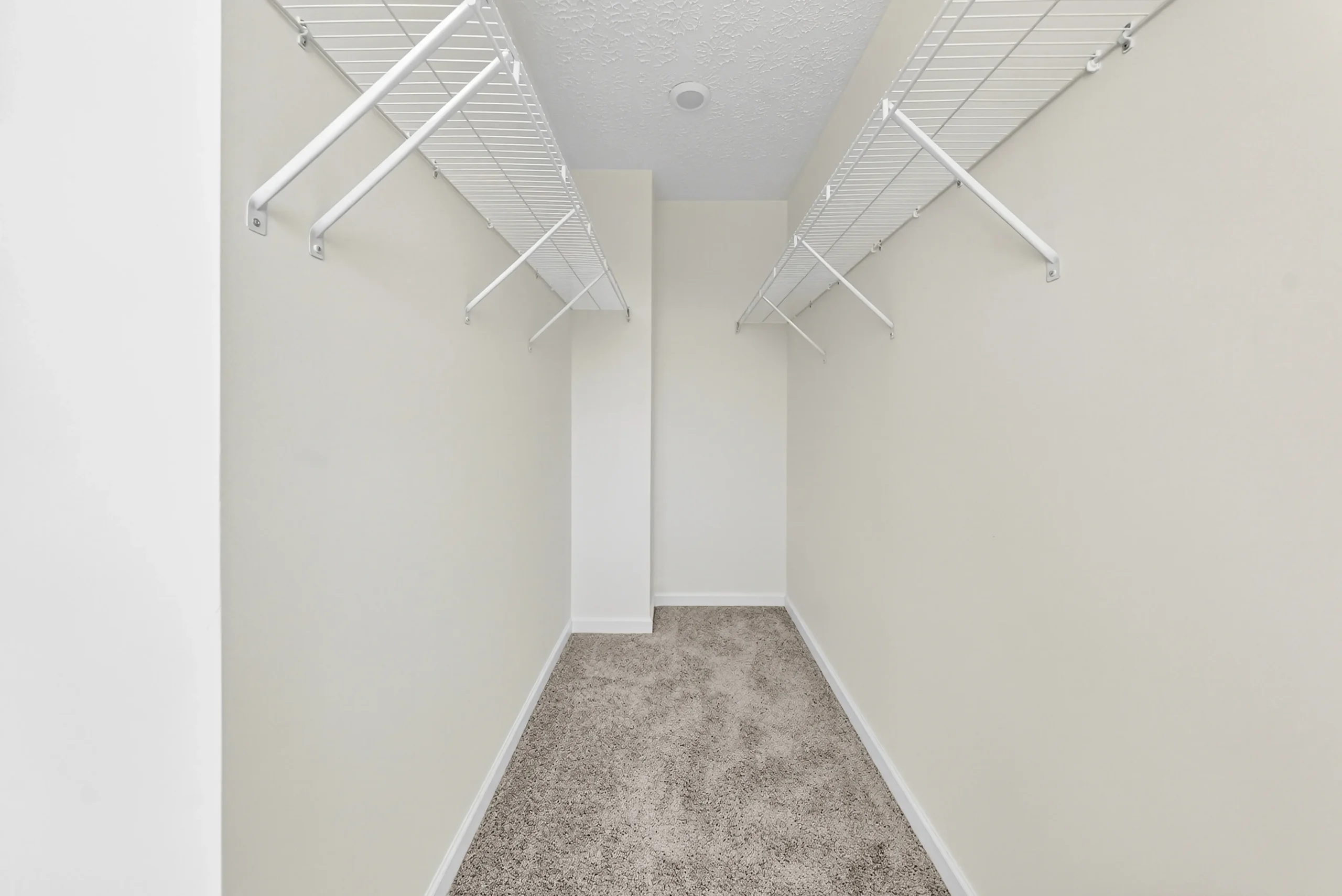 Ava in The Estates at Westgate Phase 8