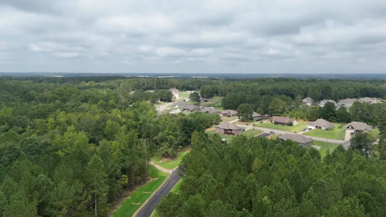 Aerial view of a new home community in Lee County, Alabama